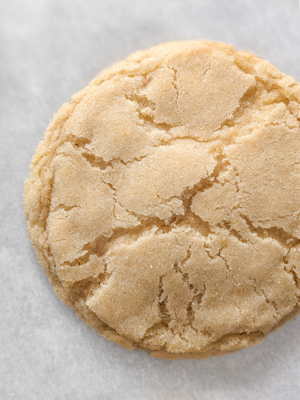 Soft and chewy lemon sugar cookie with crackled sugar top, no topping, bakery-style base cookie