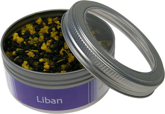 ENCENS Liban