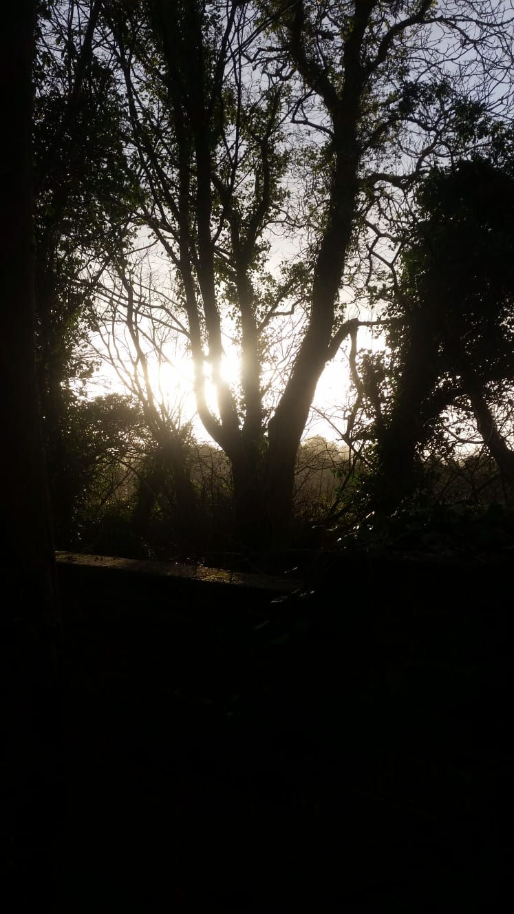 IMG-20190128-WA0014