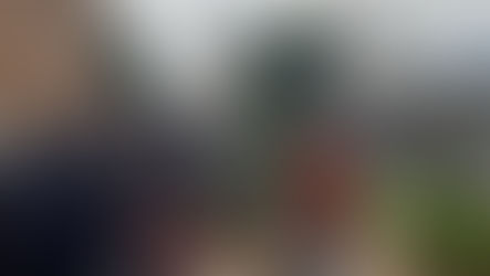 Preet Kaur Gill MP demands compensation for Quinton residents affected by motorway tree cutting