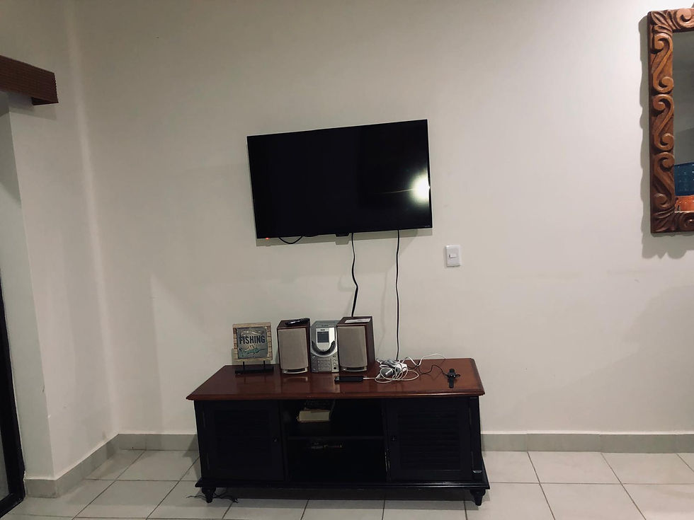 Living TV .jpeg