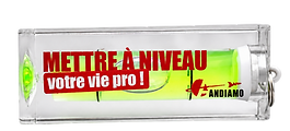 Niveau - Mettre à niveau votre vie pro