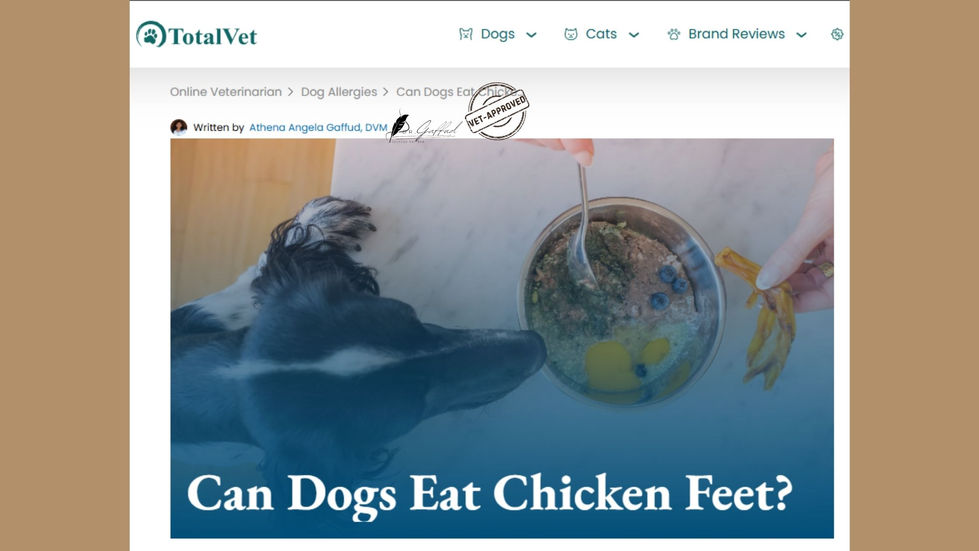 TotalVet_Can Dogs Eat Chicken Feet__TotalVet_https___total.vet_safe-food-dog-chicken-feet