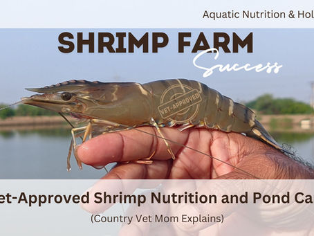 Hand holding a large shrimp near a pond. Text: Aquatic Nutrition and Holistic Care | Shrimp Farm Success: Vet-Approved Shrimp Nutrition and Pond Care (Country Vet Mom Explains). Background shows distant trees.