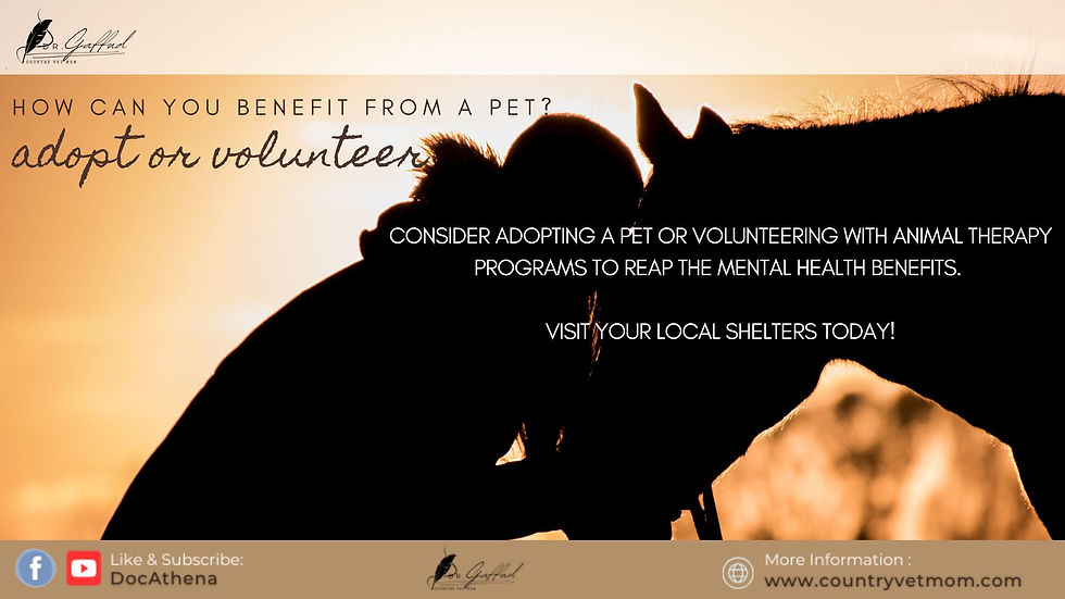 Silhouette of a person and horse nuzzling at sunset. Text: "How can you benefit from a pet? Adopt or volunteer. Visit local shelters."