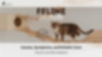 Tabby cat on a wooden platform, text reads "Feline Arthritis: Causes, Symptoms, and Holistic Care (Country Vet Mom Explains)." Vet-approved stamp, neutral background.