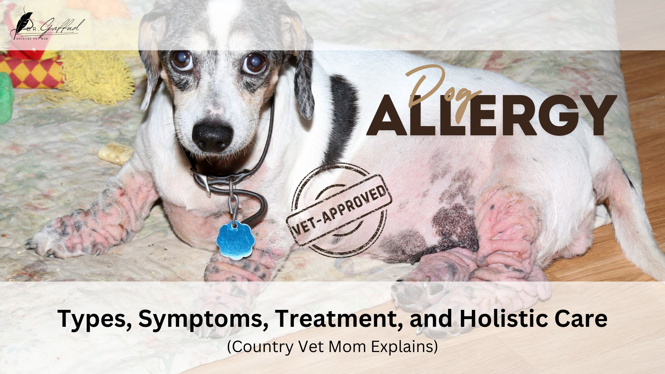 Dog Allergy: Types, Symptoms, Diagnosis, Treatment, and Holistic Care ...