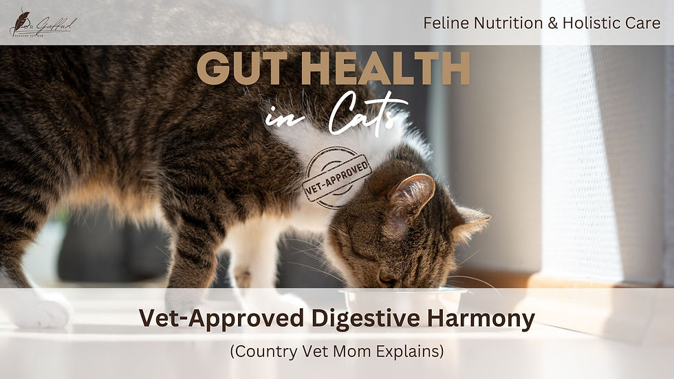 Tabby cat eating from a bowl in sunlight. Text: Nutrition and Holistic Care | Gut Health in Cats: Vet-Approved Digestive Harmony (Country Vet Mom Explains).