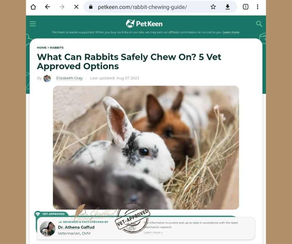What Can rabbits Safely Chew On