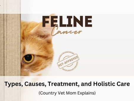 Feline Cancer: Types, Causes, Treatment, and Holistic Care