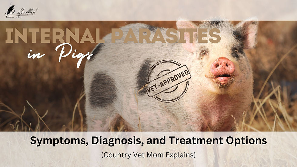 Pig in a field with "Internal Parasites in Pigs. Country Vet Mom Explains" text overlay, stamped "Vet-Approved." Dry grass surrounds. Mood is informative.