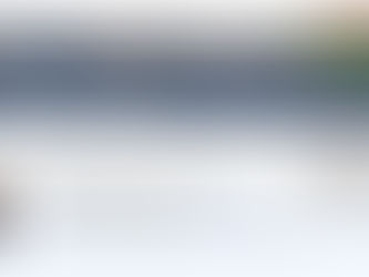 Website showing "Emotional Support Dog Training: Everything You Should Know" with a dog image. Includes Athena Angela Gaffud's profile and vet-approved stamp.