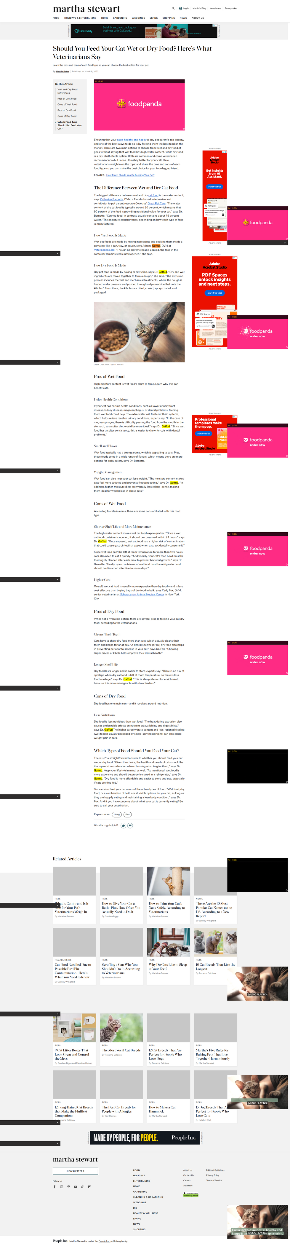 Screen shot of the article "Should You Feed Your Cat Wet or Dry Food Here's What Veterinarians Say"