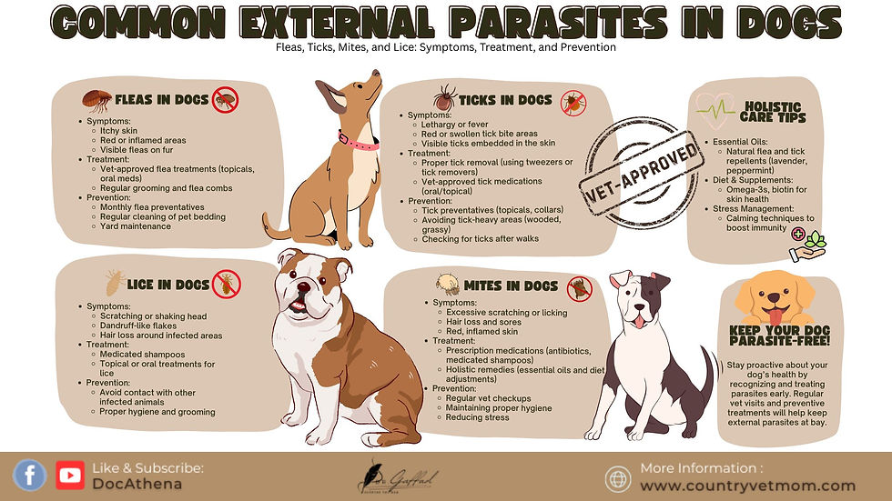Infographic on dog parasites with cartoon dogs. Sections on fleas, ticks, lice, and mites show symptoms, treatments, and prevention tips.