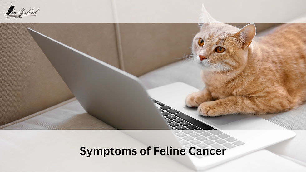 Orange cat with calm mood lying on a laptop on a beige couch.