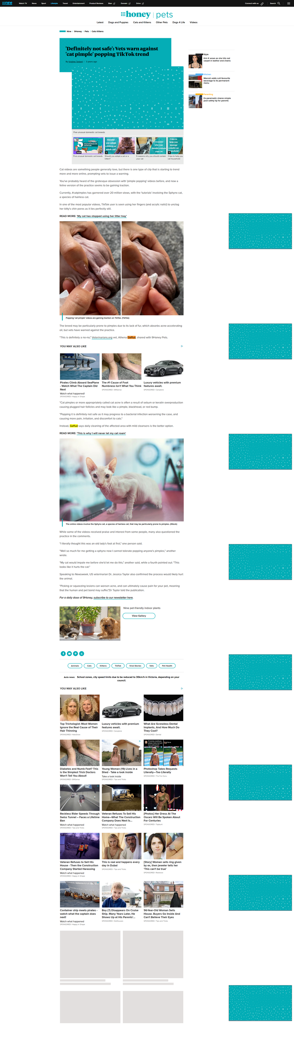 Screen shot of the article "'Definitely not safe' Vets warn against 'cat pimple' popping TikTok trend"