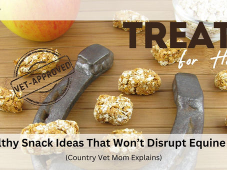 Horse treats on wood surface, with apple and oats. Text: Treats for Horses, Vet-Approved, Healthy Snack Ideas That Won’t Disrupt Equine Diet. Country Vet Mom Explains.