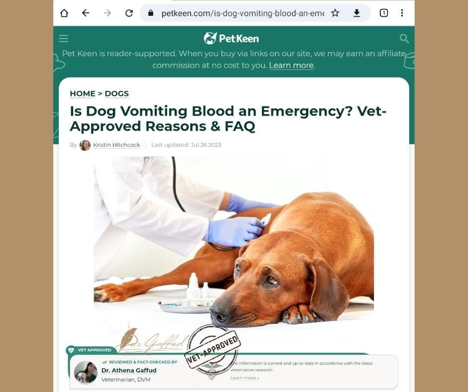 Is Dog Vomiting Blood An Emergency