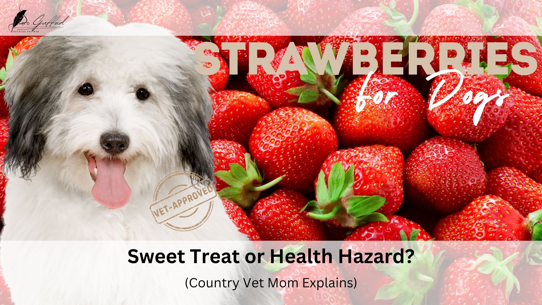 Strawberries for Dogs: Benefits, Risks, and Serving Tips | Country Vet Mom