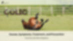 Brown horse rolls on grass in a field with wooden fence. Text: Equine Colic, Causes, Symptoms, Treatment, and Prevention. Country Vet Mom Explains.