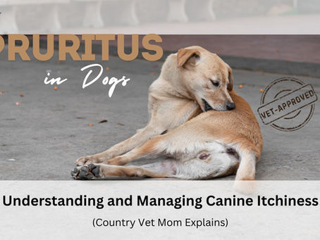 Pruritus In Dogs: Causes, Symptoms, Treatment, and Holistic Care for the Itchy Dog