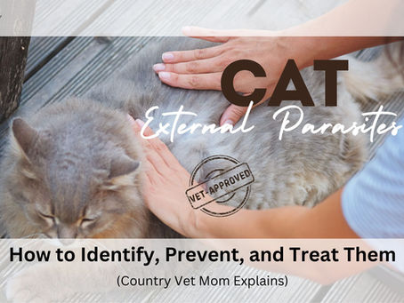 Hands pet a gray cat on wooden floor. Text: "Cat External Parasites. Vet-Approved. How to Identify, Prevent, and Treat Them (Country Vet Mom Explains)."
