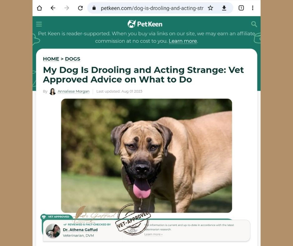 My Dog Is Drooling And Acting Strange