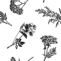 Bushes black