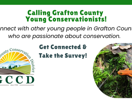 Help Connect Grafton County Youth with Conservation Opportunities
