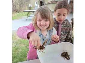 Take a Little, Give a Lot: A Kindergarten Year in the Garden and Along the Road