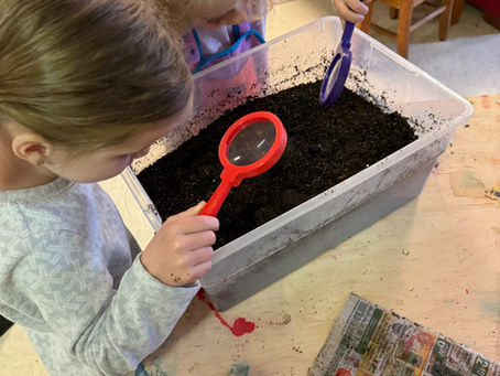 A Year of Soil and Song: How Twelve Preschoolers Became Small Stewards of the Earth