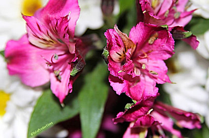 CB574B9C-8390-4124-BBB2-5A070AC7DF89 2.J