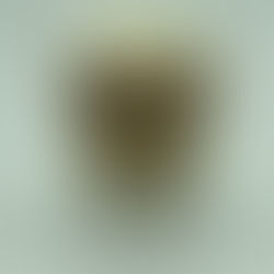 Banana Bread Shooter