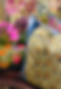 IMG_1540_edited.png