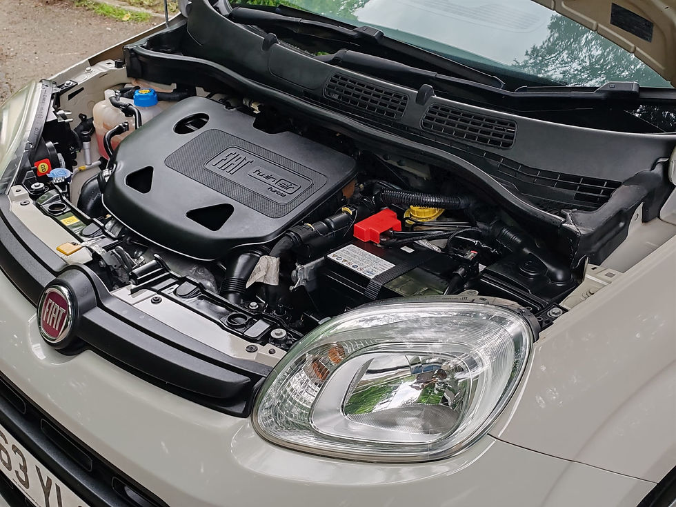 Thumbnail: Fiat Panda Twin Air Automatic