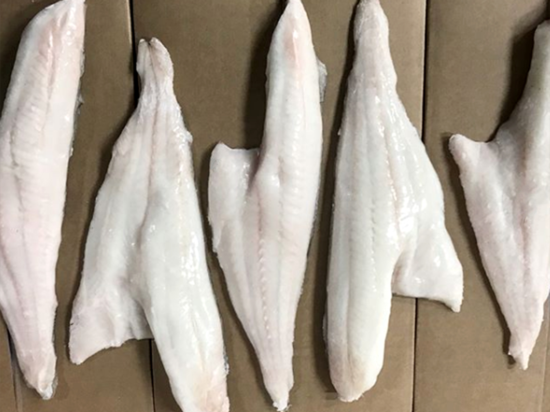 Íslenskur fiskur