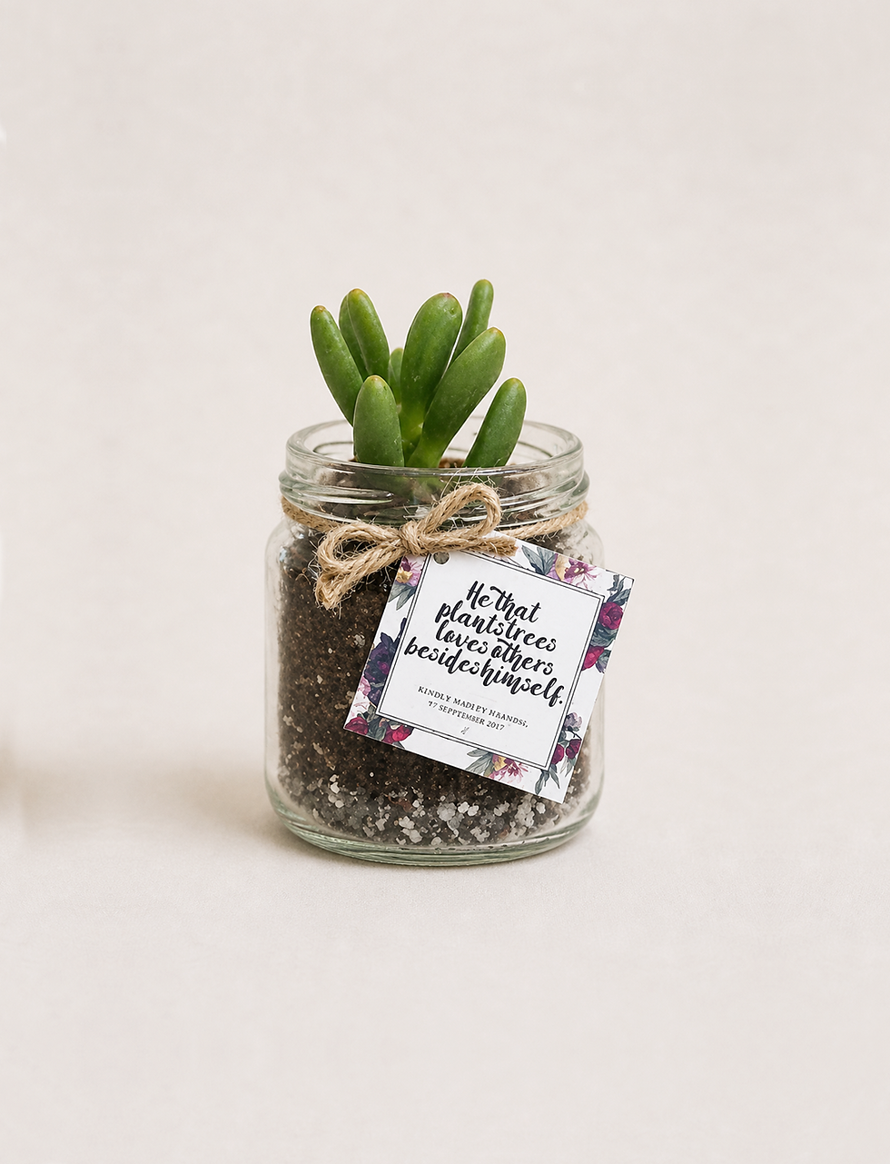 Potted Succulent in Glass Jar - Singapore Wedding Favours & Doorgifts