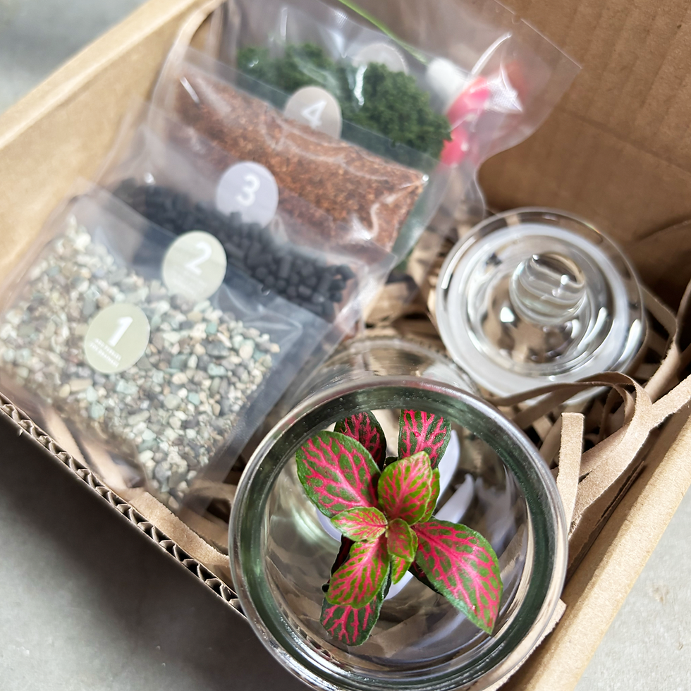 Thumbnail: Terrarium Kit