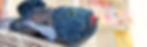 Fisch