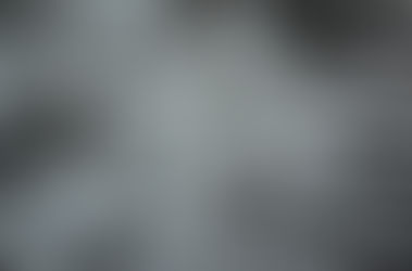 ダミさんが死んでしまった