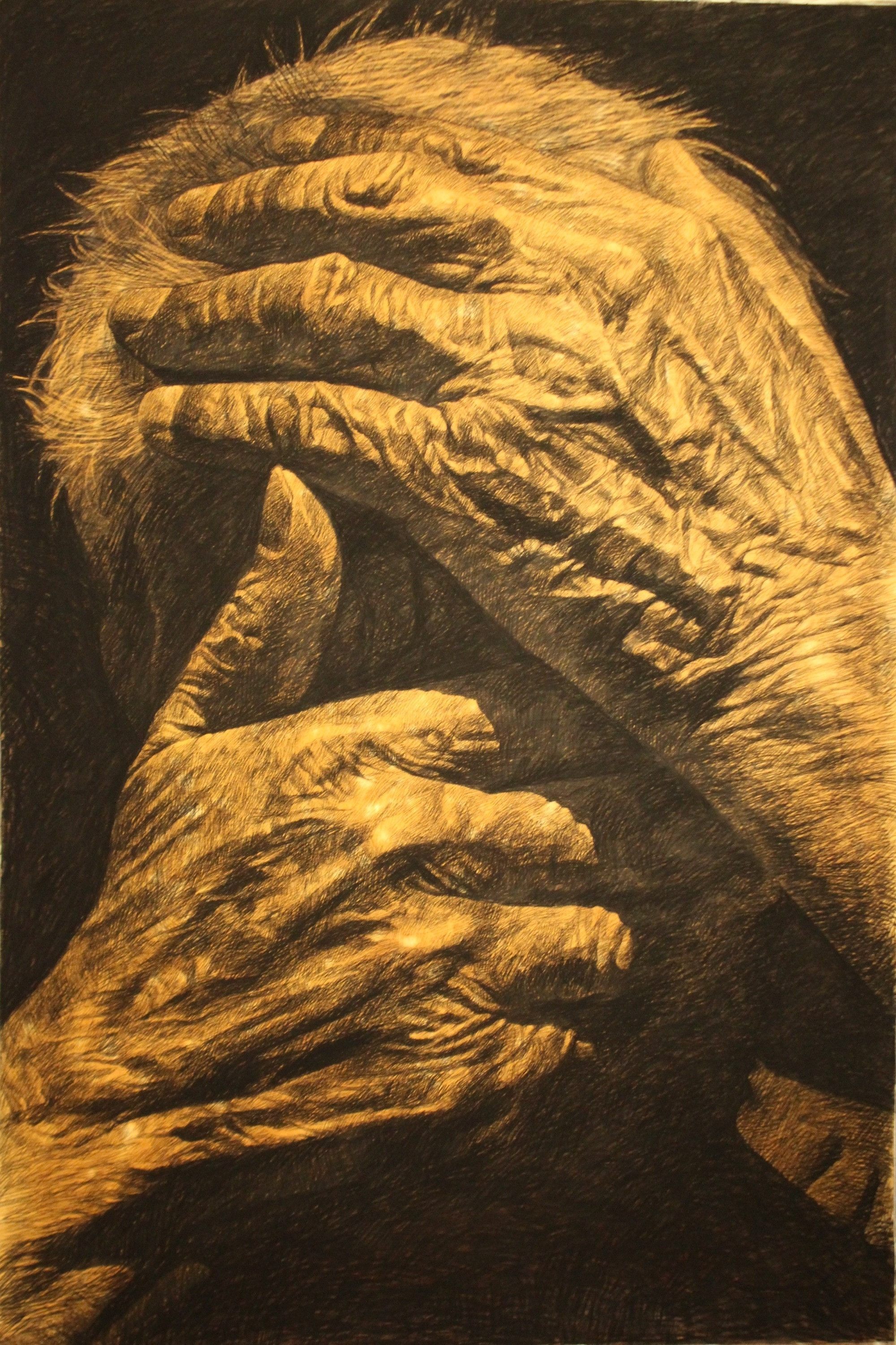 Wrinkles on Face- Cover Mouth and Eyes (SOLD)