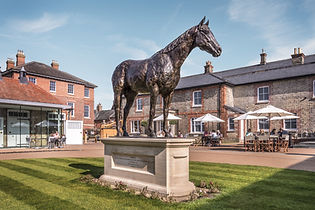 Frankel in The King's Yard (c) Mark Atki