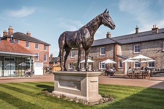 Frankel in The King's Yard (c) Mark Atki