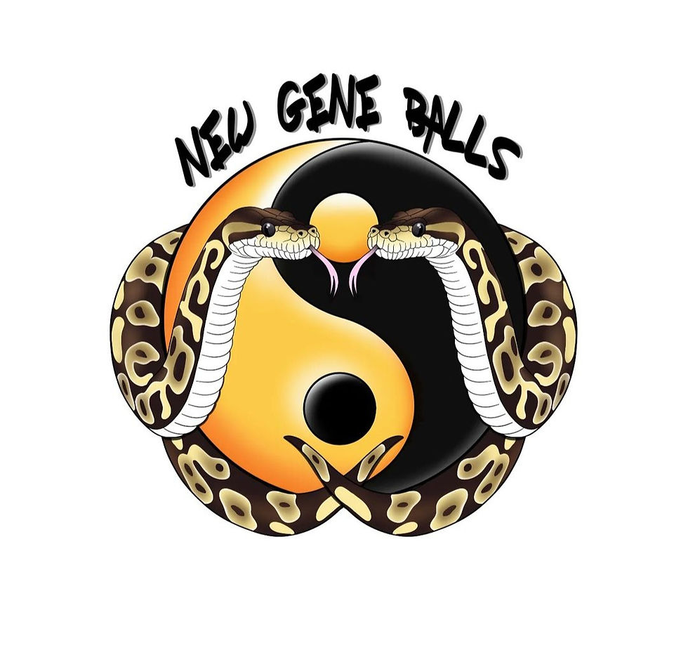 Retail Outlets Viper World retail-outlets-viper-world