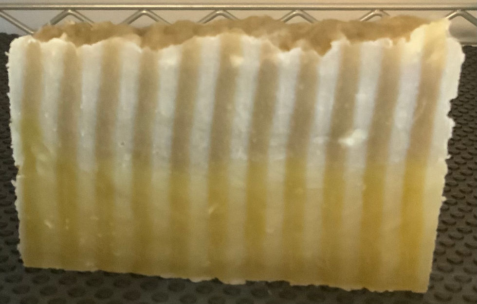 Soap UNK 3a.jpeg