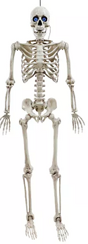 Halloween Skeleton with animated eyes