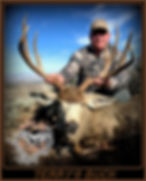 Thumbnail: harvested mule deer.
