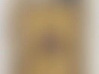 Ritrovamento e identificazione di una pagina perduta del Palinsesto di Archimede