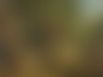 Rubens protagonista del restauro TEFAF 2026 e delle mostre dei musei partner