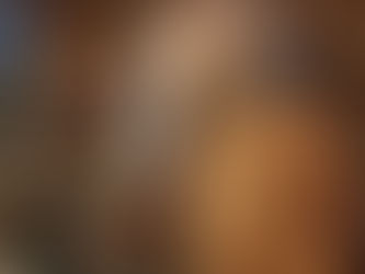 Il dipinto "San Rocco distribuisce i suoi beni ai poveri" di Giovanni Antonio Fumiani